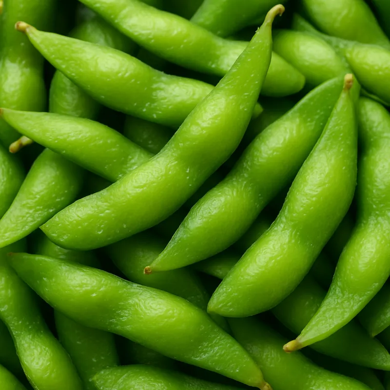 Edamame (Gekochte Sojabohnenschoten)